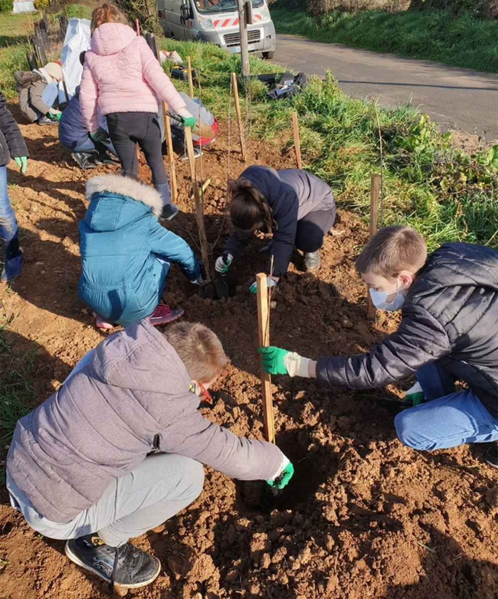 Les enfants ont planté les haies