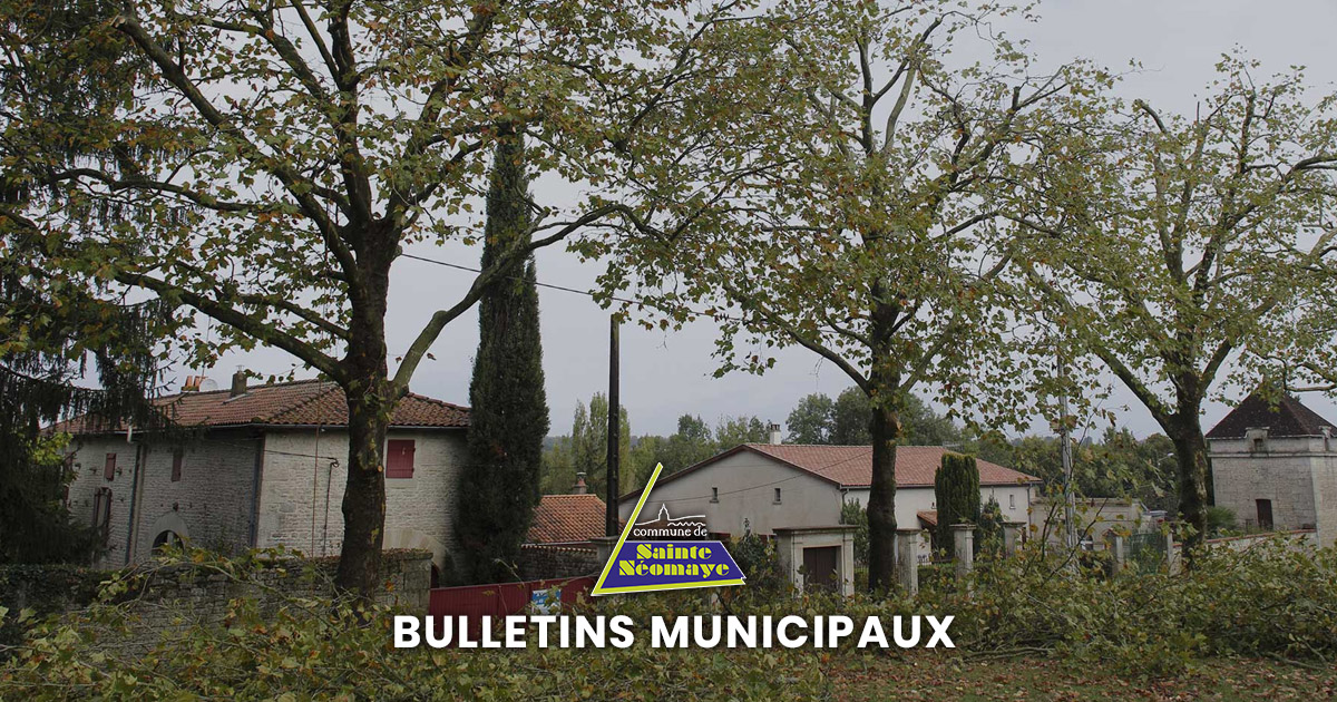 Bulletins d’information municipale de Sainte-Néomaye