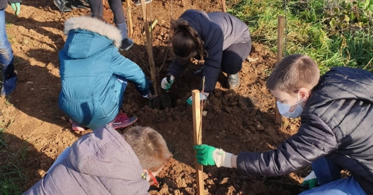Les enfants en plein activité